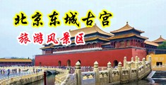 啊,啊,啊大黑鸡巴日女人视频中国北京-东城古宫旅游风景区